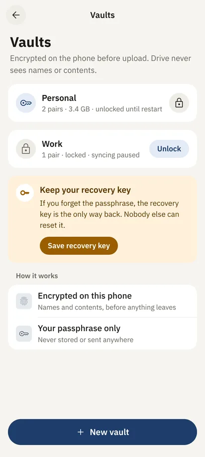 Vaults: pairs encrypted on the phone before upload, so Drive never sees names or contents